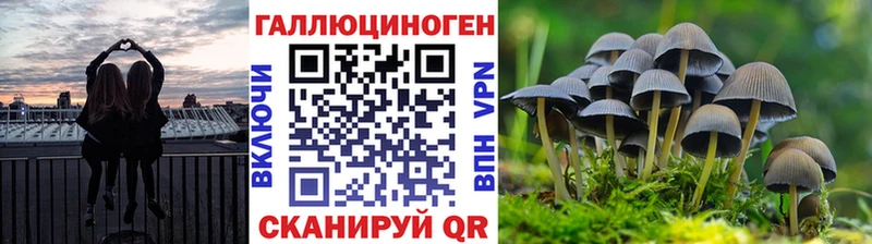 MEGA рабочий сайт  Райчихинск  Галлюциногенные грибы MAGIC MUSHROOMS 